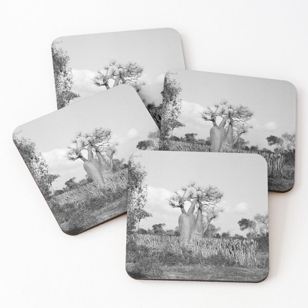 Item preview, Madagascar Baobab Tree Black and White Vintage Photography designed and sold by worldways.