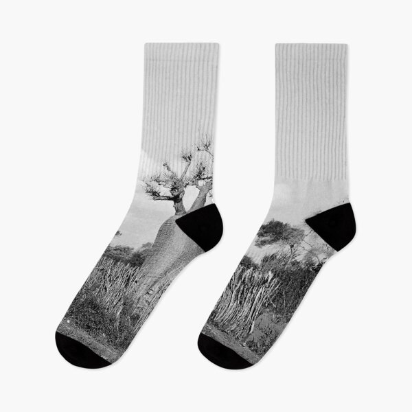 Item preview, Madagascar Baobab Tree Black and White Vintage Photography designed and sold by worldways.
