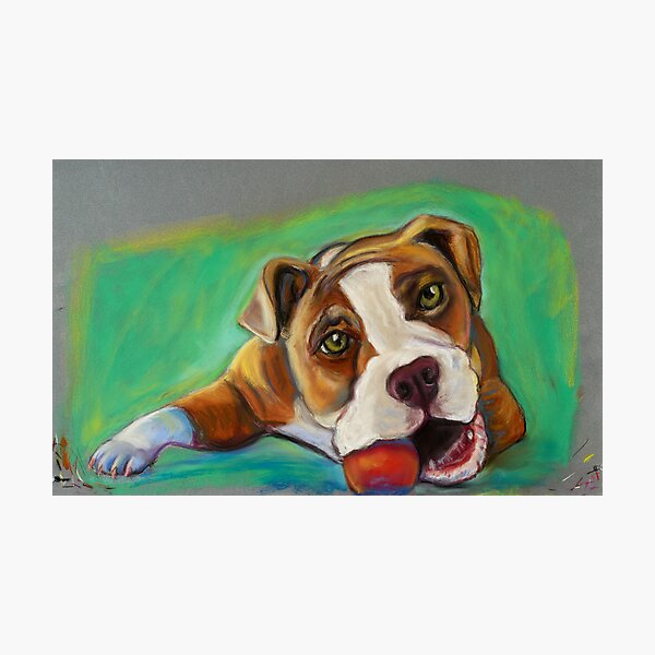 Bulldog with Red Ball Photographic Print
