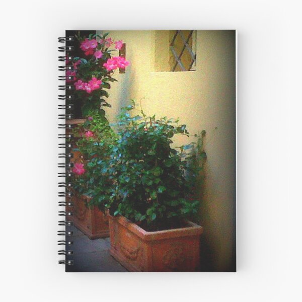 Item preview, Courtyard Flower Display designed and sold by alliemac.