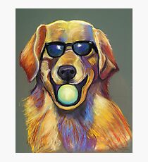Golden Retriever with Tennis Ball Fotodruck