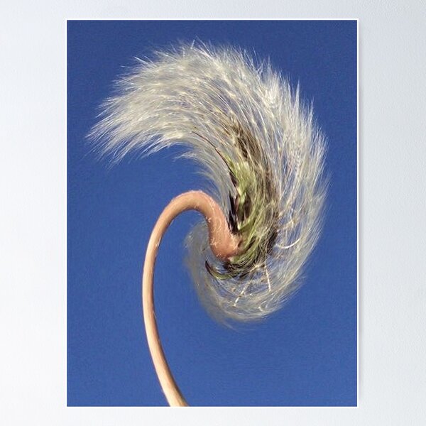 Item preview, Whip It Good!! designed and sold by Ginny York.
