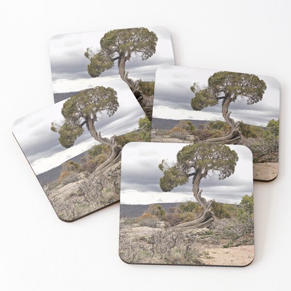 Item preview, Scenery Along Dragon Point Trail 2 designed and sold by jtrommer.