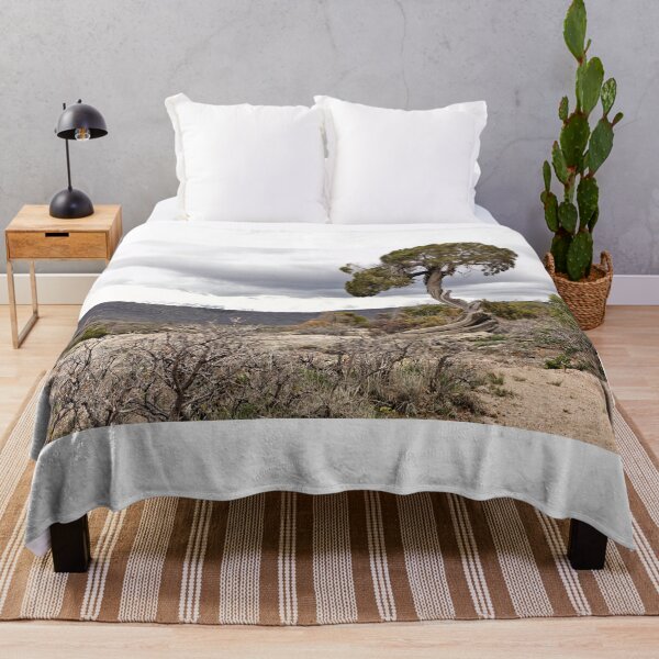 Item preview, Scenery Along Dragon Point Trail 2 designed and sold by jtrommer.