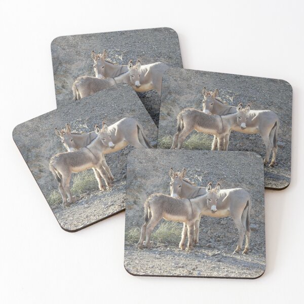 Item preview, Wild Burros, Wildlife, Wild Animals, Gifts designed and sold by Sandra O'Toole.