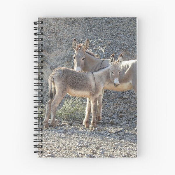 Artikelvorschau, Wild Burros, Wildtiere, Wildtiere, Geschenke entworfen und verkauft von Sandra O'Toole.