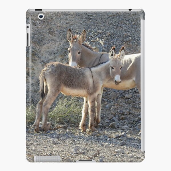 Wild Burros, Wildlife, Wild Animals, Gifts iPad Snap Case