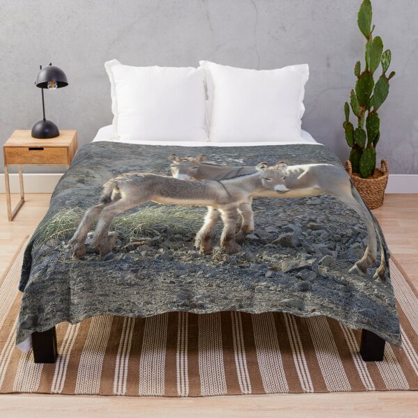 Item preview, Wild Burros, Wildlife, Wild Animals, Gifts designed and sold by Sandra O'Toole.