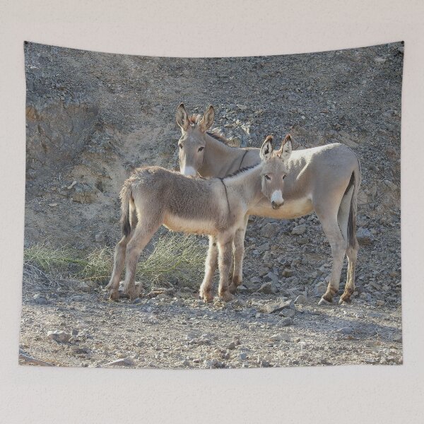 Item preview, Wild Burros, Wildlife, Wild Animals, Gifts designed and sold by Sandra O'Toole.