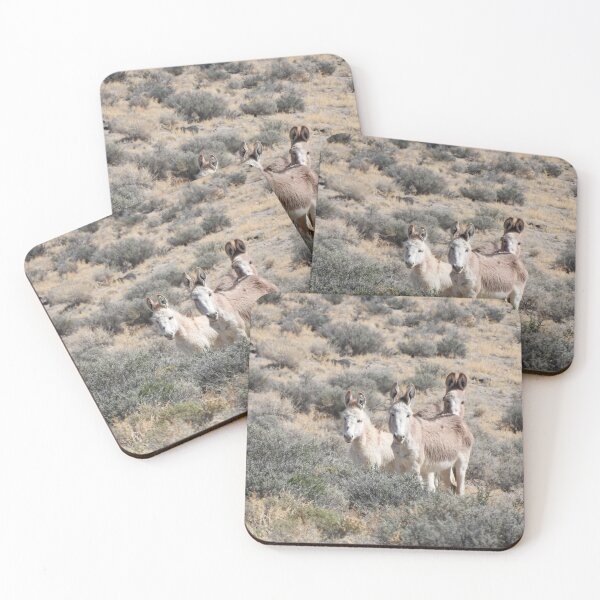 Item preview, Wild Burros, Wildlife, Wild Animals, Gifts designed and sold by Sandra O'Toole.