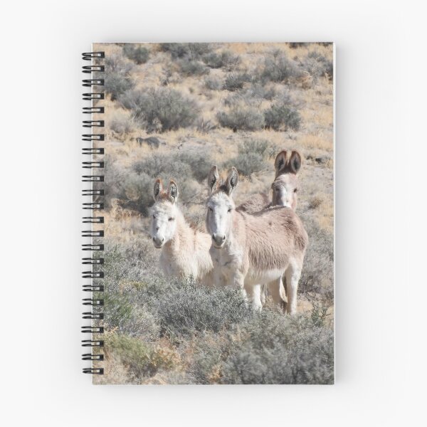 Artikelvorschau, Wild Burros, Wildtiere, Wildtiere, Geschenke entworfen und verkauft von Sandra O'Toole.