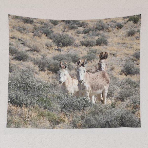 Item preview, Wild Burros, Wildlife, Wild Animals, Gifts designed and sold by Sandra O'Toole.