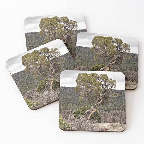 Item preview, Twisted Trees On The Edge designed and sold by jtrommer.