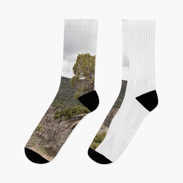 Item preview, Twisted Trees On The Edge designed and sold by jtrommer.