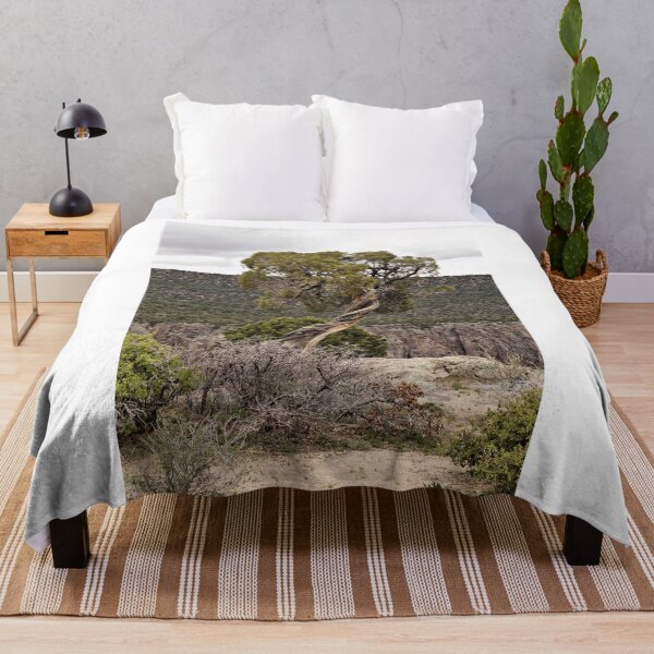 Item preview, Twisted Trees On The Edge designed and sold by jtrommer.