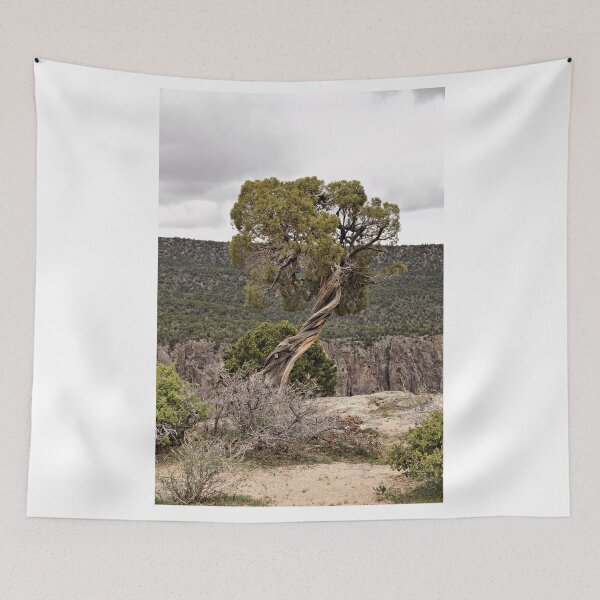 Item preview, Twisted Trees On The Edge designed and sold by jtrommer.