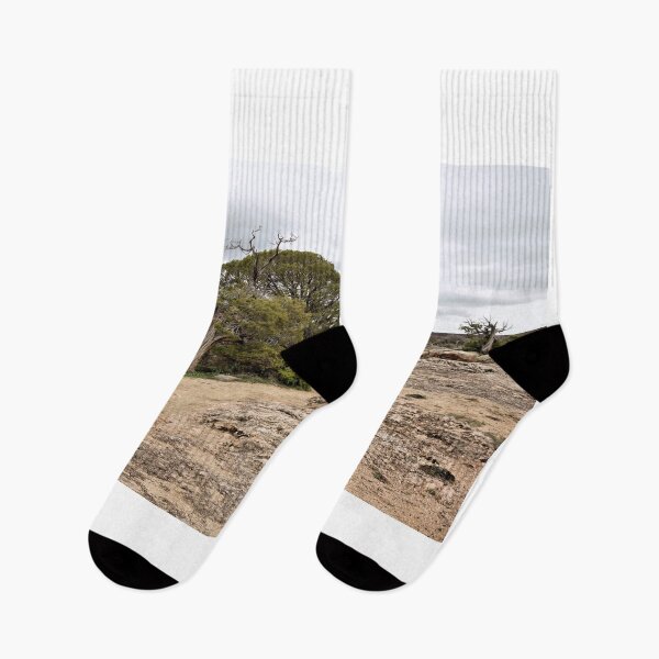 Item preview, Trail To Dragon Point 1 designed and sold by jtrommer.
