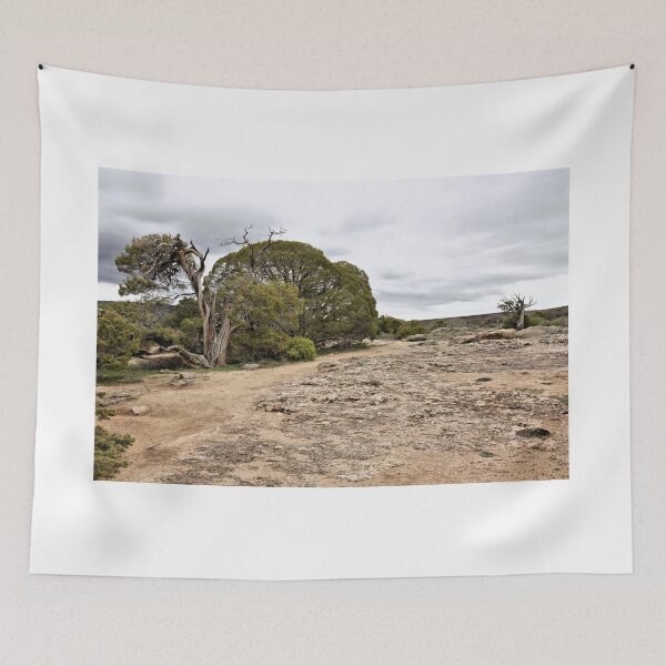 Item preview, Trail To Dragon Point 1 designed and sold by jtrommer.