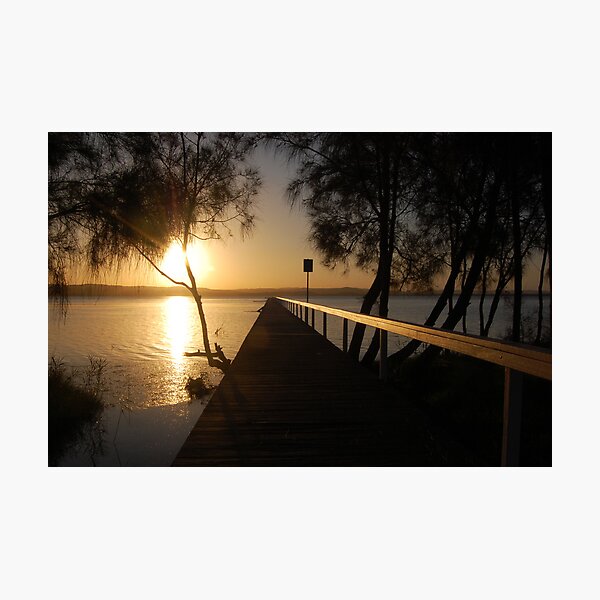 A Tree and a Signpost - Long Jetty Photographic Print