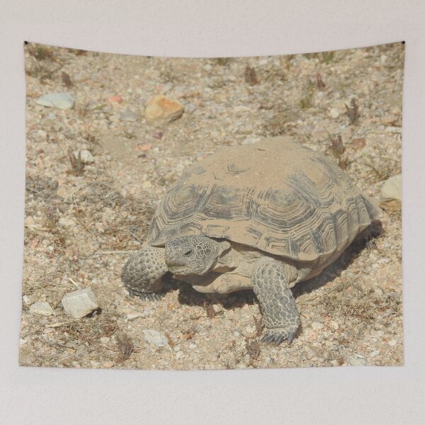 Item preview, Desert Tortoise, Turtle, Reptiles, Wildlife, Reptilian, Gifts designed and sold by Sandra O'Toole.