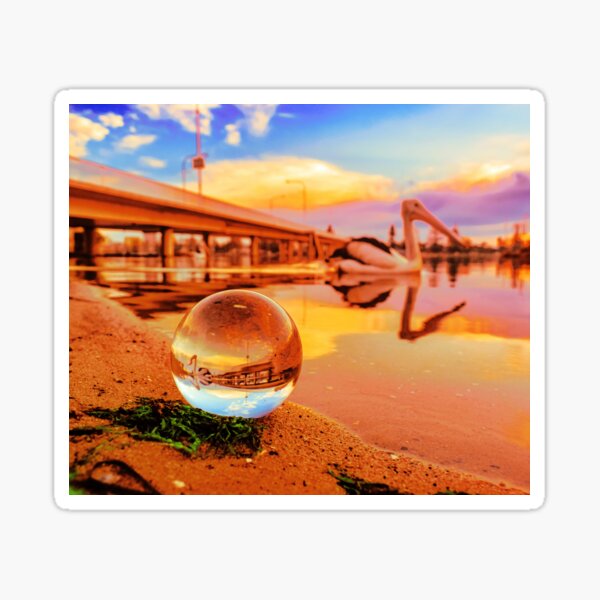 Lensball with Pelican Sticker