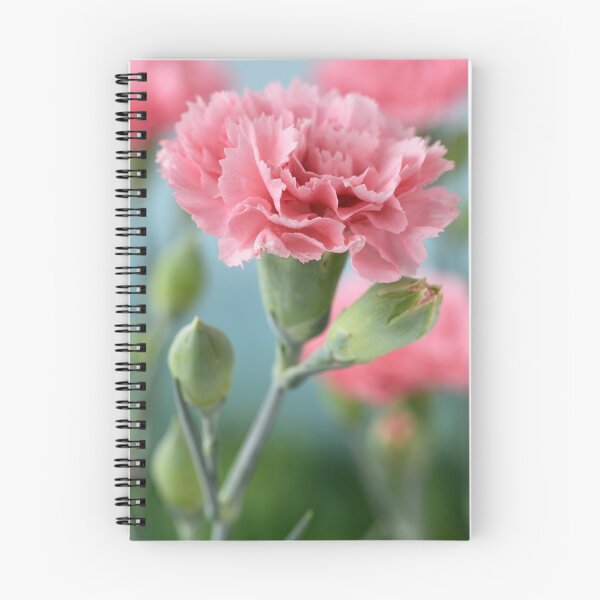 Item preview, Dianthus  Pink designed and sold by Chris Burrows.