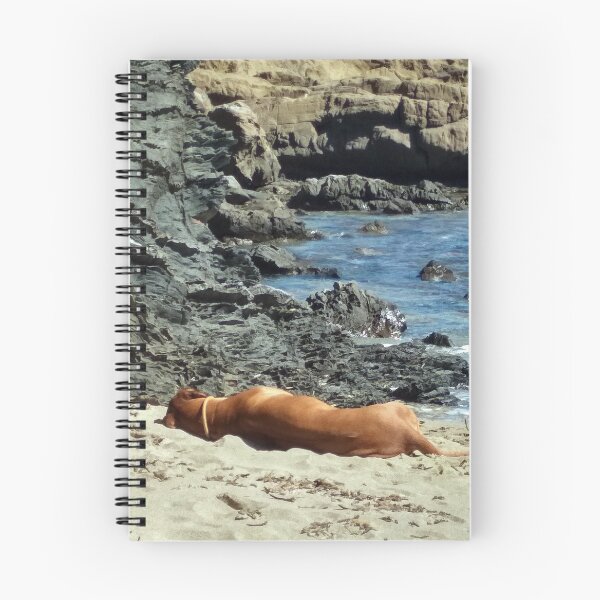 Item preview, Dog relaxing by the sea designed and sold by NadjaMei.