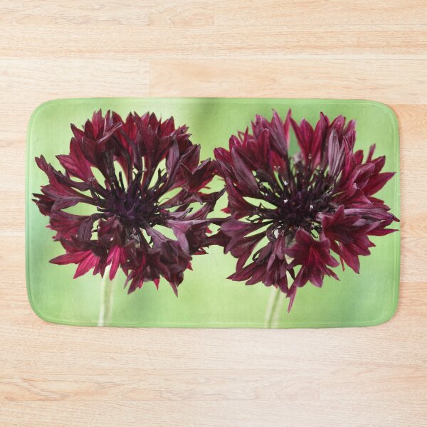 Item preview, Centaurea cyanus  'Black Ball'  Cornflower   designed and sold by Chris Burrows.
