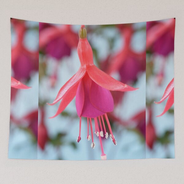 Item preview, Fuchsia 'Pink Fizz' designed and sold by Chris Burrows.