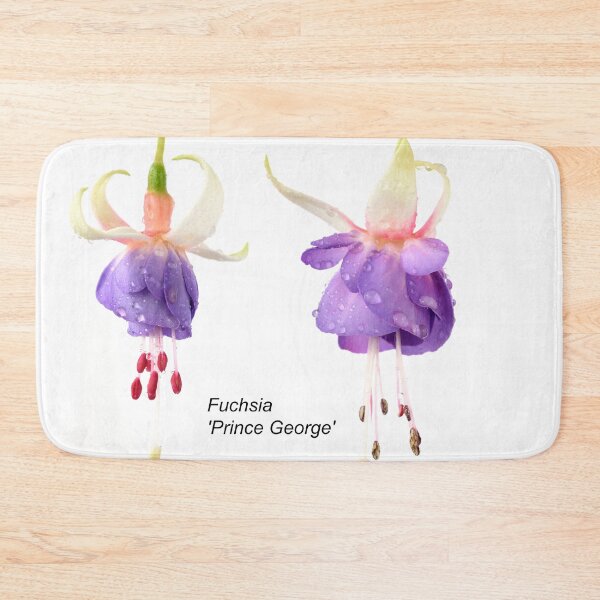 Item preview, Fuchsia  'Prince George'  designed and sold by Chris Burrows.