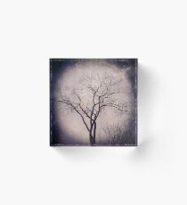 Stand Alone Acrylic Block