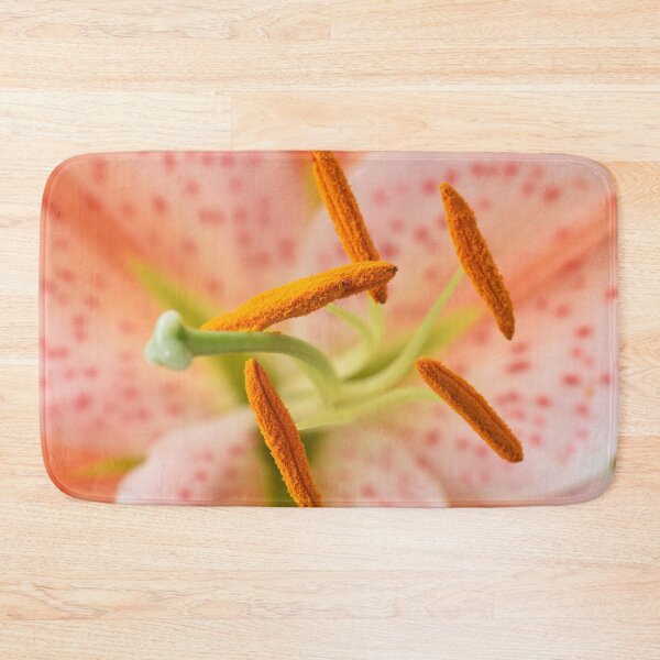 Item preview, Lilium  'Salmon Star'  Lily  Oriental hybrid  designed and sold by Chris Burrows.