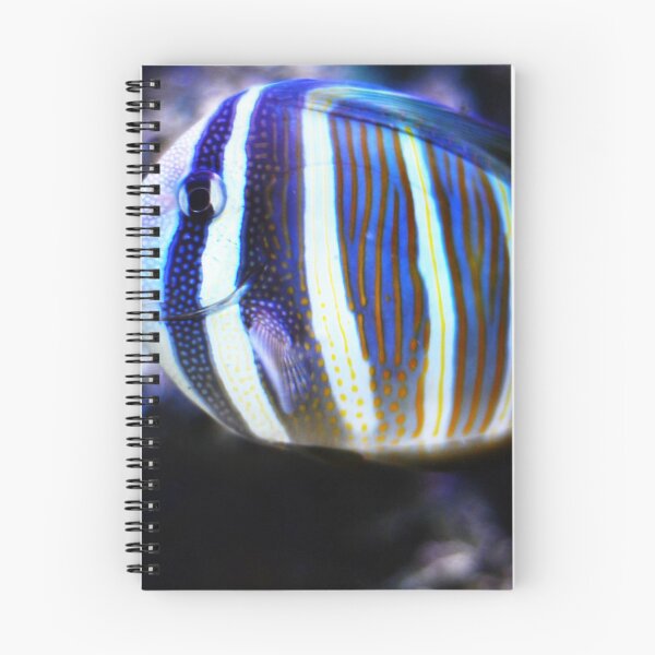 Item preview, Striped Tropical Fish designed and sold by Asiantiger247.