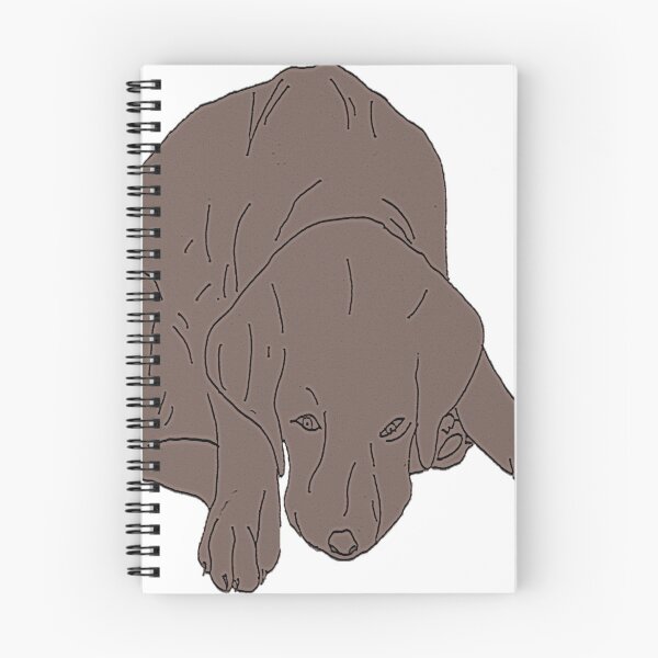 Item preview, Chocolate Labrador Puppy apologising designed and sold by ABY-Creative.