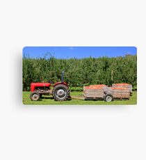 Lienzo Apple Harvest