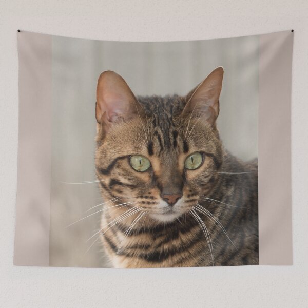 Item preview, Bengal cat designed and sold by Goldenskik.