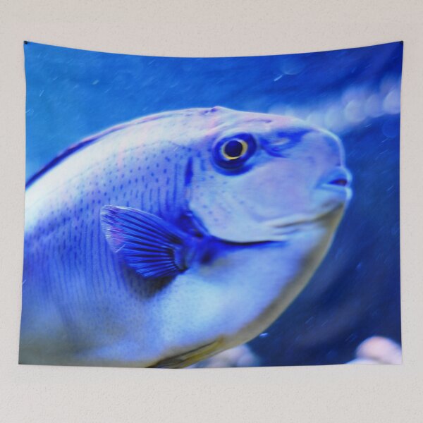 Item preview, Fish, blue Tropical Fish designed and sold by Asiantiger247.