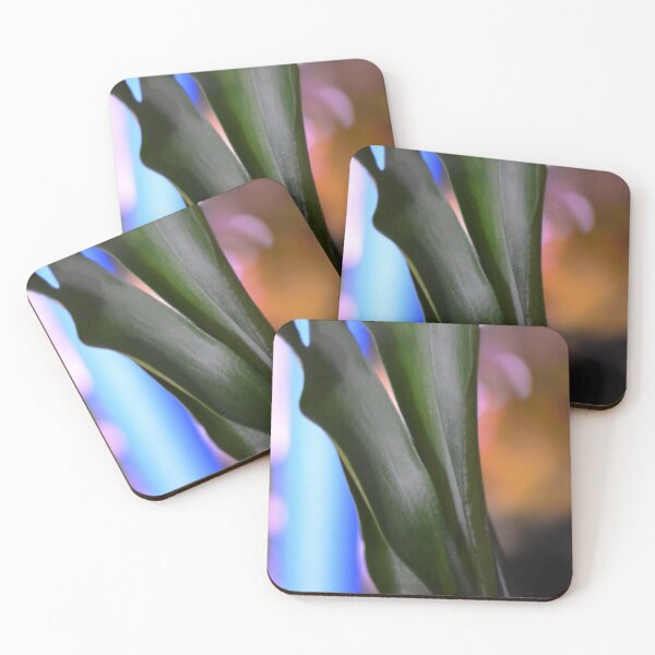 Item preview, Staghorn fern Plant designed and sold by Asiantiger247.