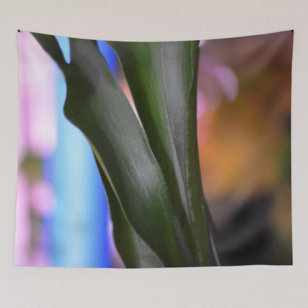 Item preview, Staghorn fern Plant designed and sold by Asiantiger247.