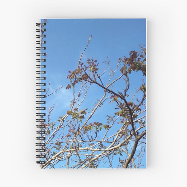 Item preview, Tree Branches designed and sold by NadjaMei.