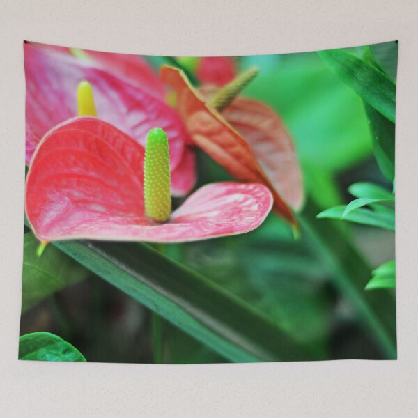 Item preview, Anthurium designed and sold by Asiantiger247.