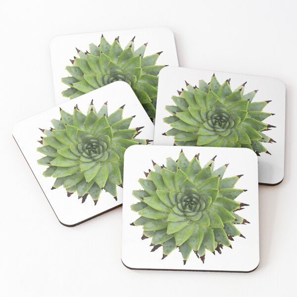 Artikelvorschau, Spiky Succulent entworfen und verkauft von Cobbwebski.