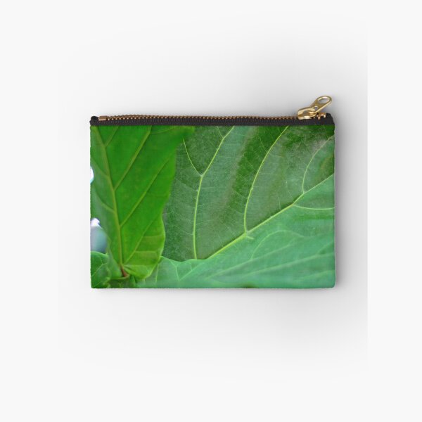 Item preview, Ficus Lyrata fiddle leaf fig  designed and sold by Asiantiger247.