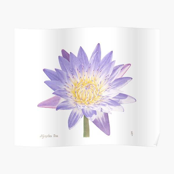 Posters Sur Le Theme Nenuphar Redbubble