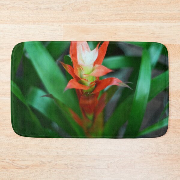 Item preview, Bromeliad Plant designed and sold by Asiantiger247.