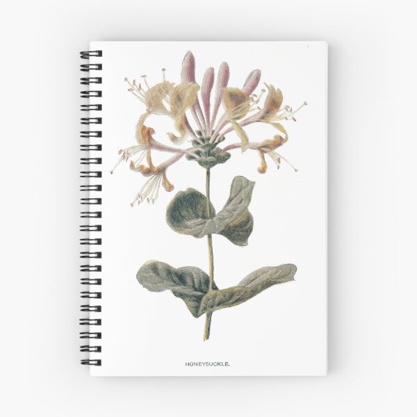 Item preview, Wall art of illustration of Honeysuckle from 19 century designed and sold by simpson92.