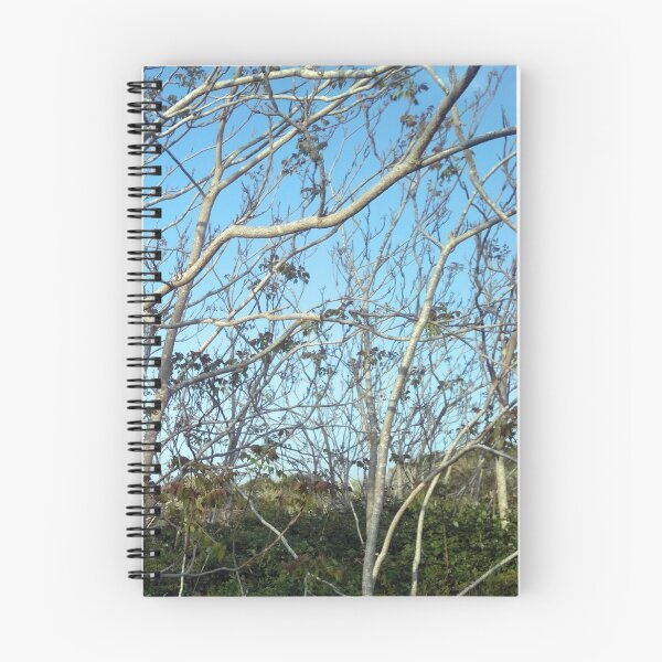 Item preview, Trees Menorca designed and sold by NadjaMei.