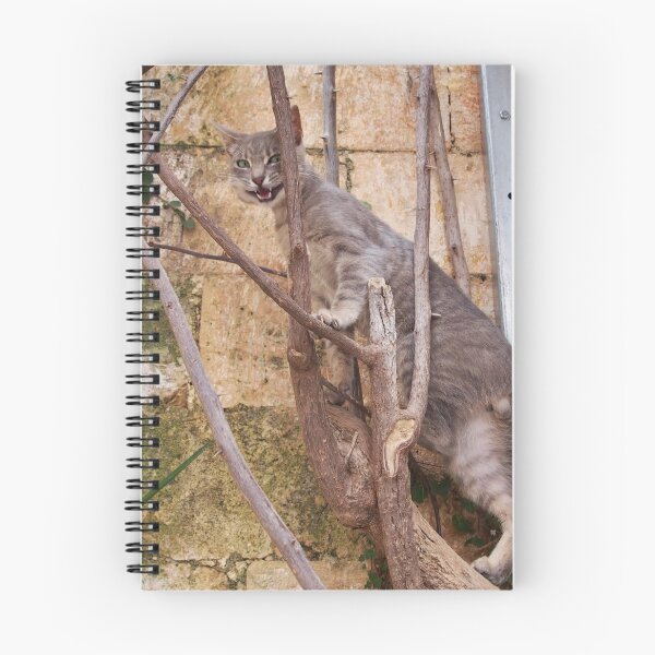 Item preview, Cretan Cat Chania Crete Greece designed and sold by wtgs.