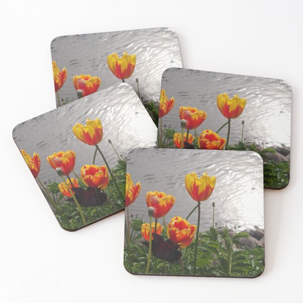 Item preview, Tulips Bad Durkheim Germany designed and sold by wtgs.