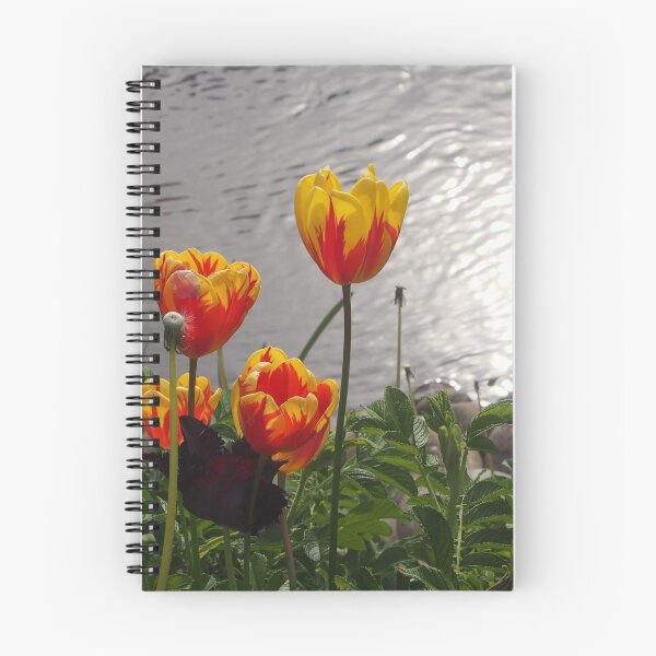 Item preview, Tulips Bad Durkheim Germany designed and sold by wtgs.